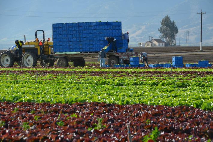 contact-thank-a-farmer-thank-a-farmer